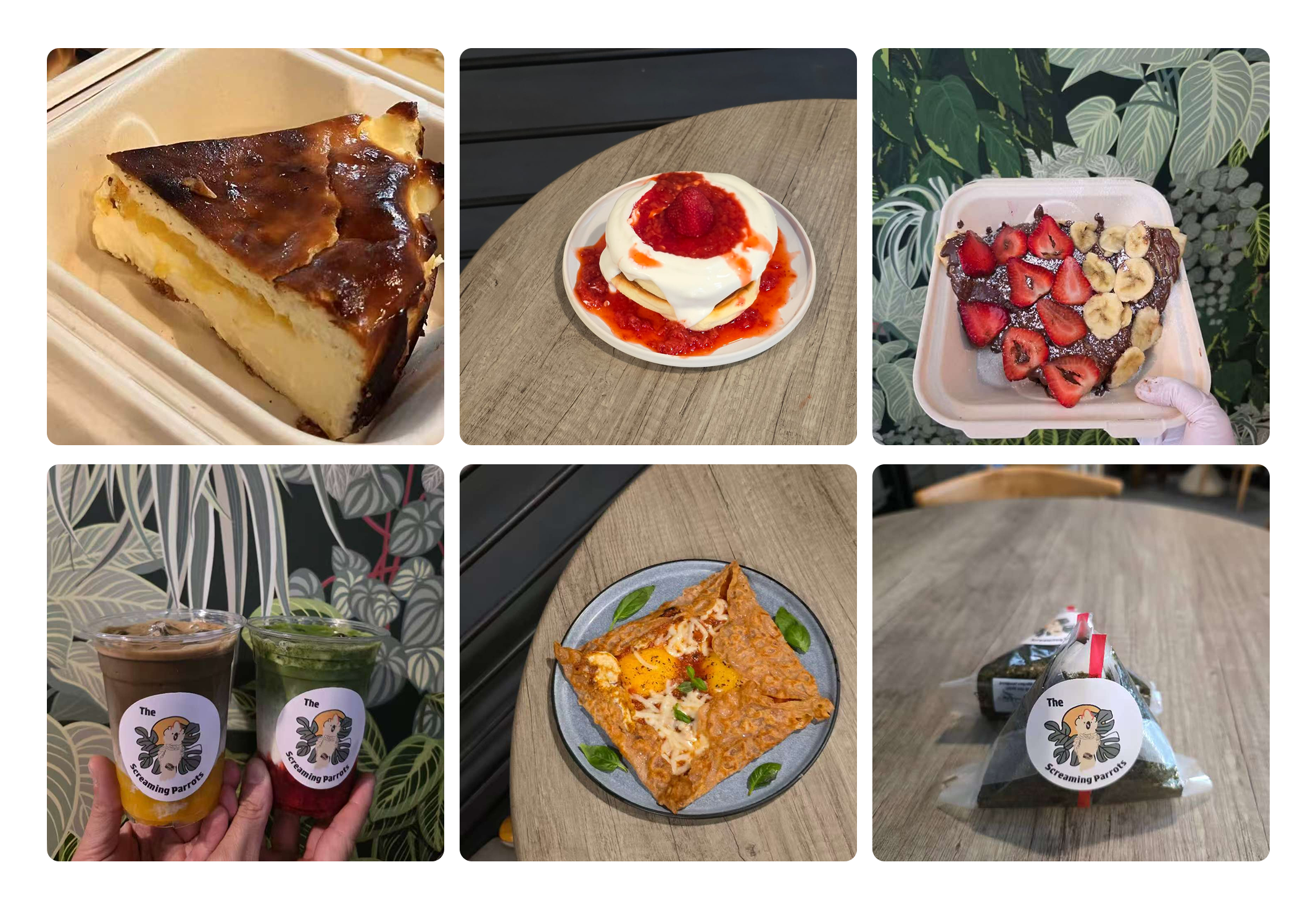 The Screaming Parrots Cafe logo